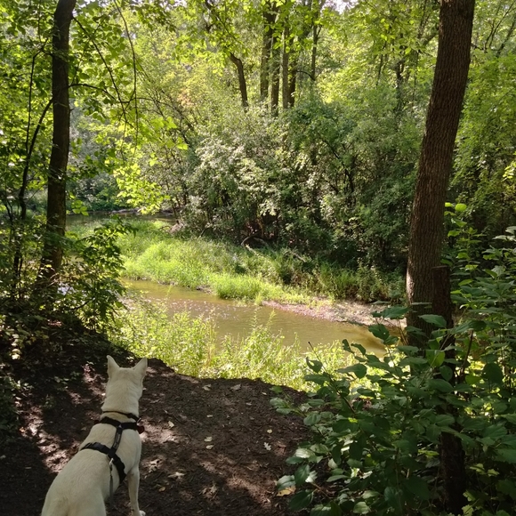 Meet your Posher, Cynthia - Picture 8 of 9